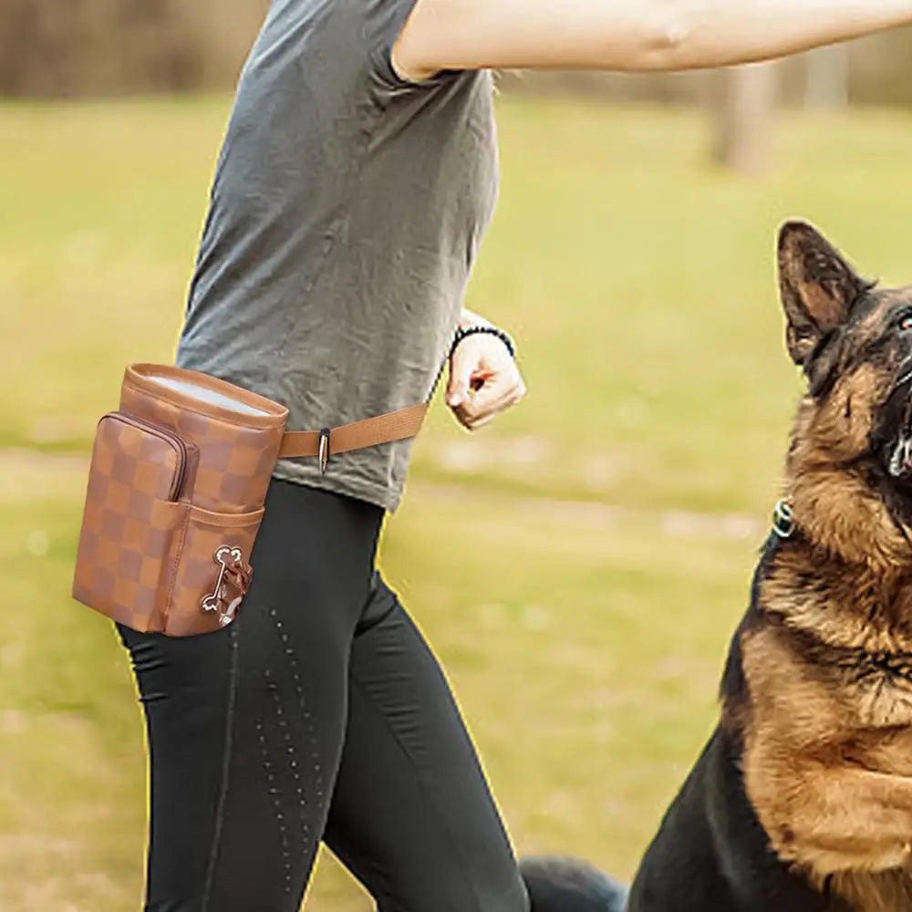 Magnetic buckle dog treat training pouch