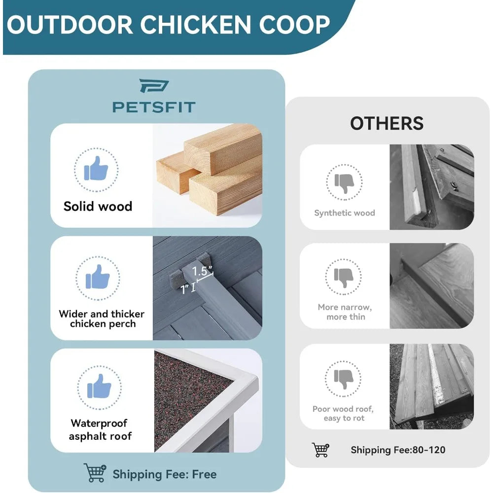 Large Chicken Coop with Upgraded Perches