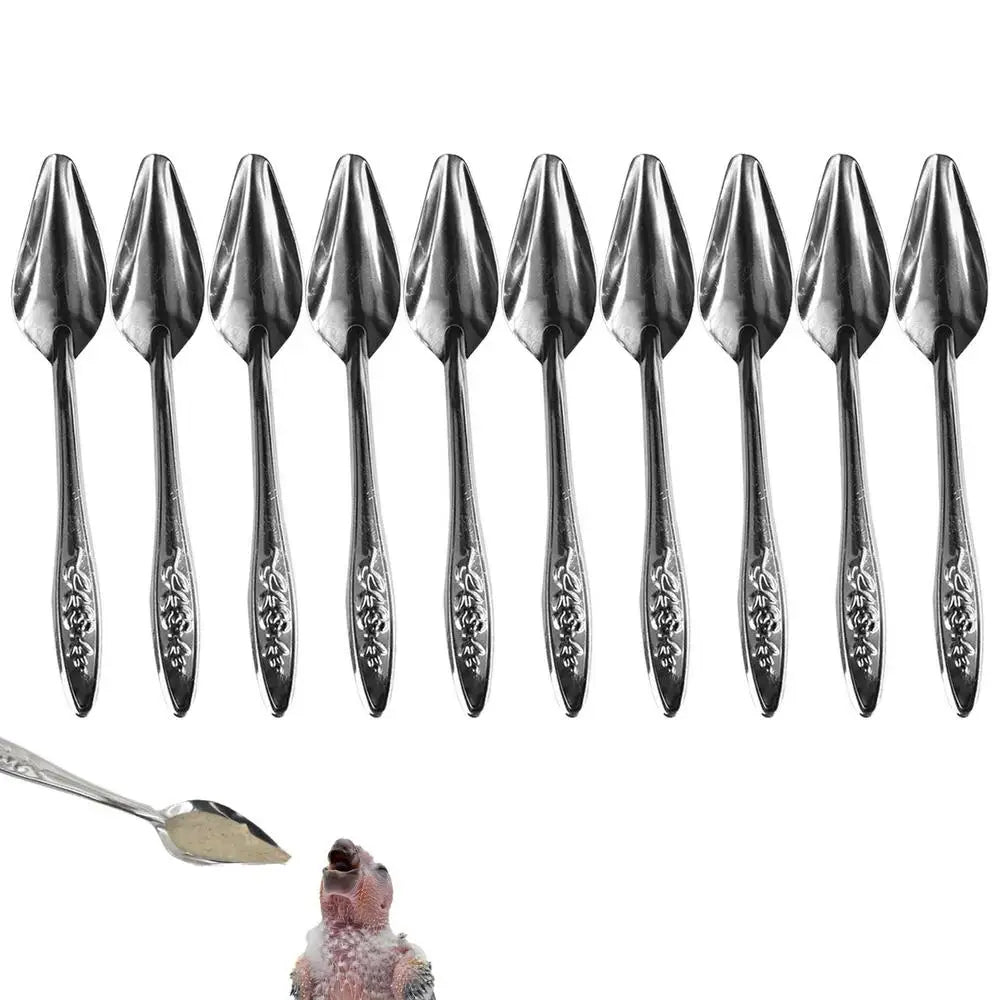 10pcs Portable baby bird feeding water spoon
