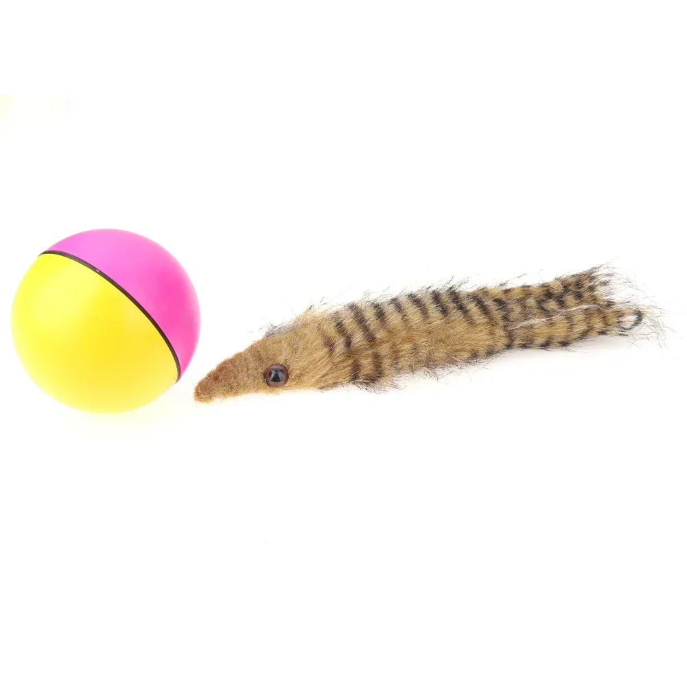 Rolling Play Random Alive New Pet Ferret Toy