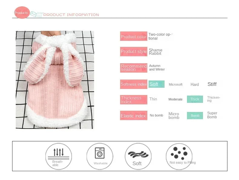 Warm Winter Clothes for Kittens