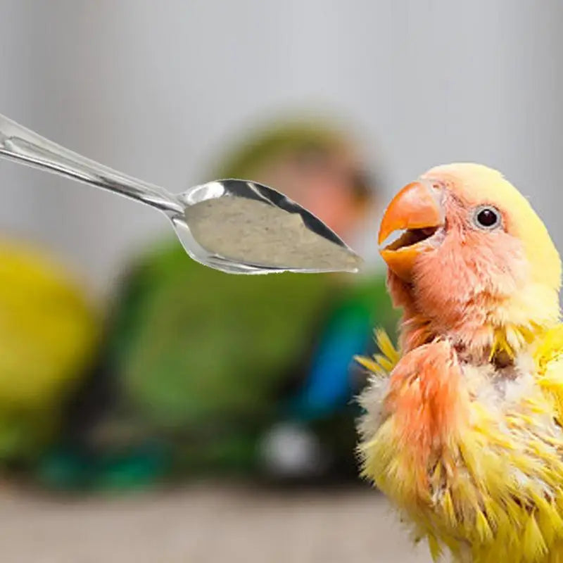 10pcs Portable baby bird feeding water spoon