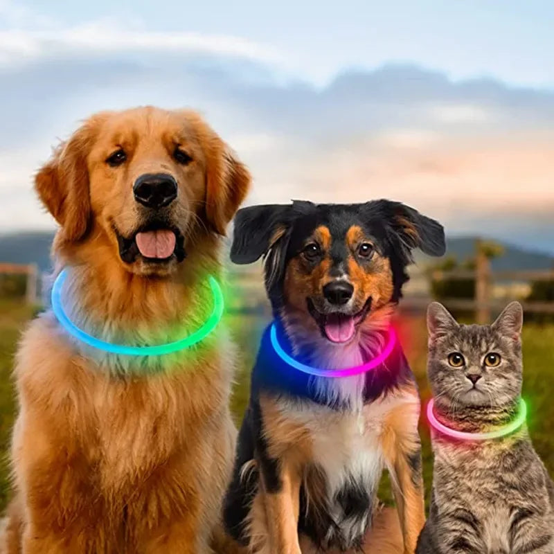 USB Charging Necklace Led Luminous Dog Collar Light