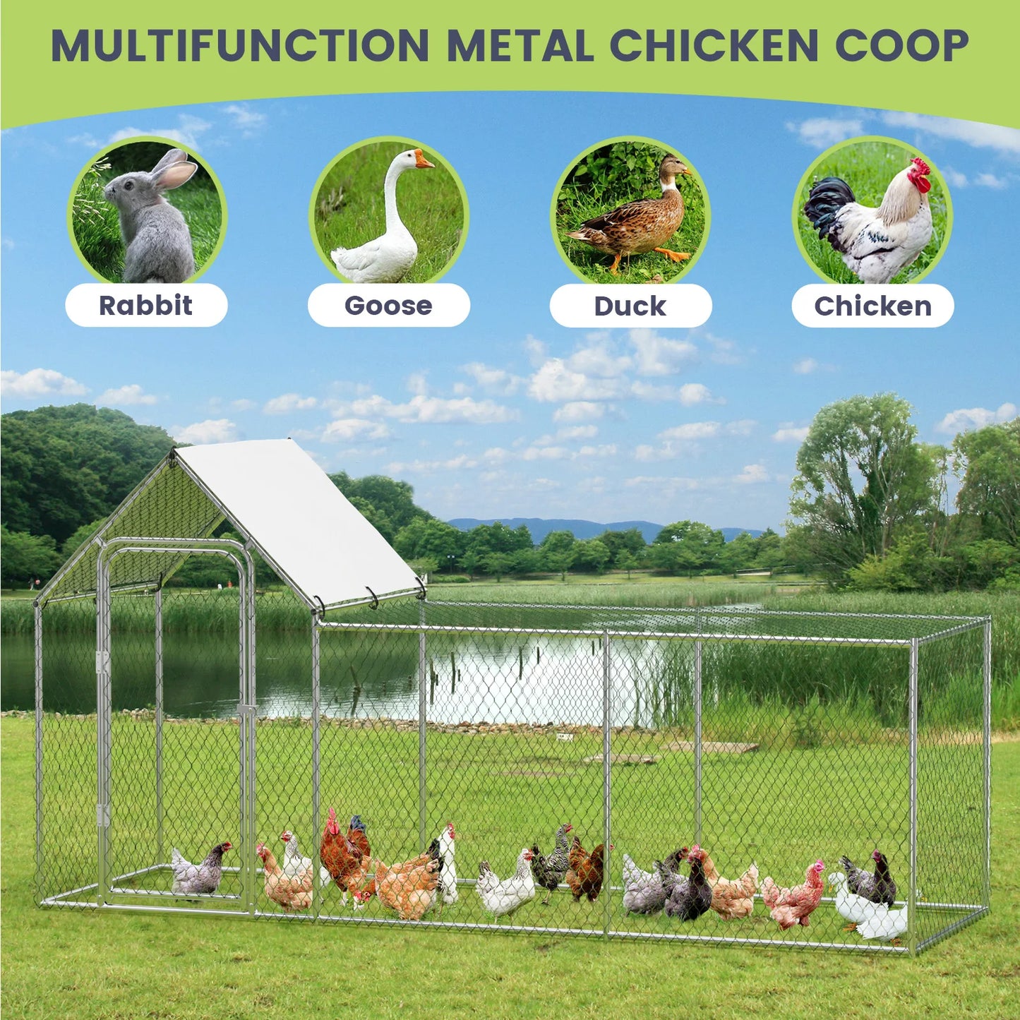 Flat Style Poultry Cage