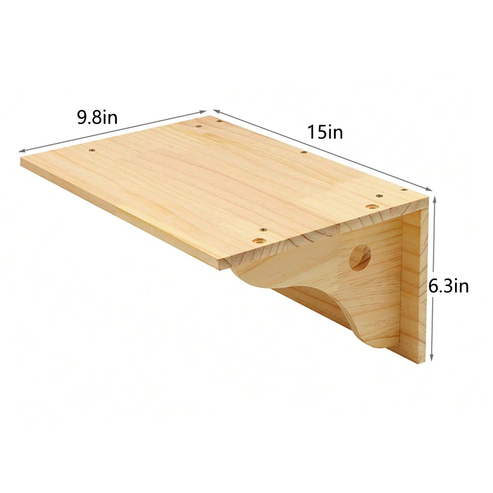 Cat Climbing Shelf Wall Mounted