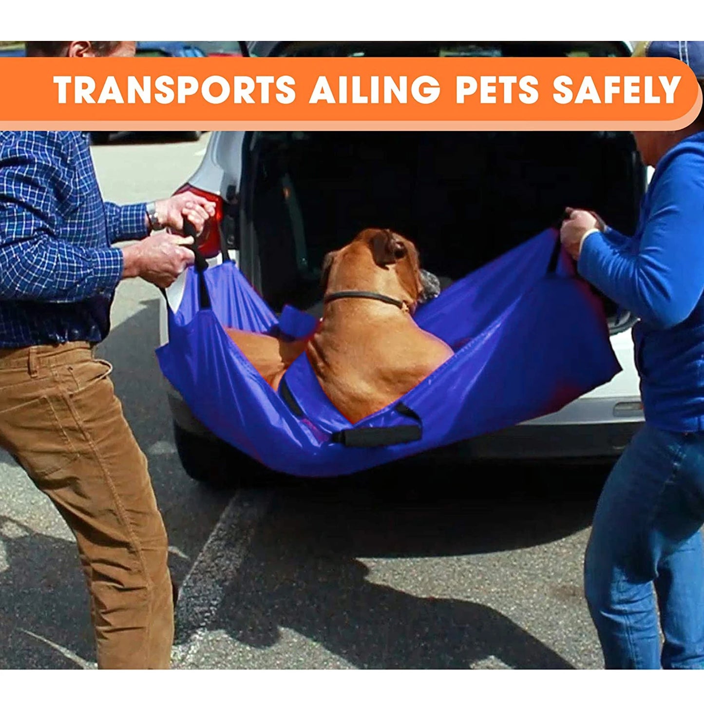 Pet Transport Stretcher, Foldable