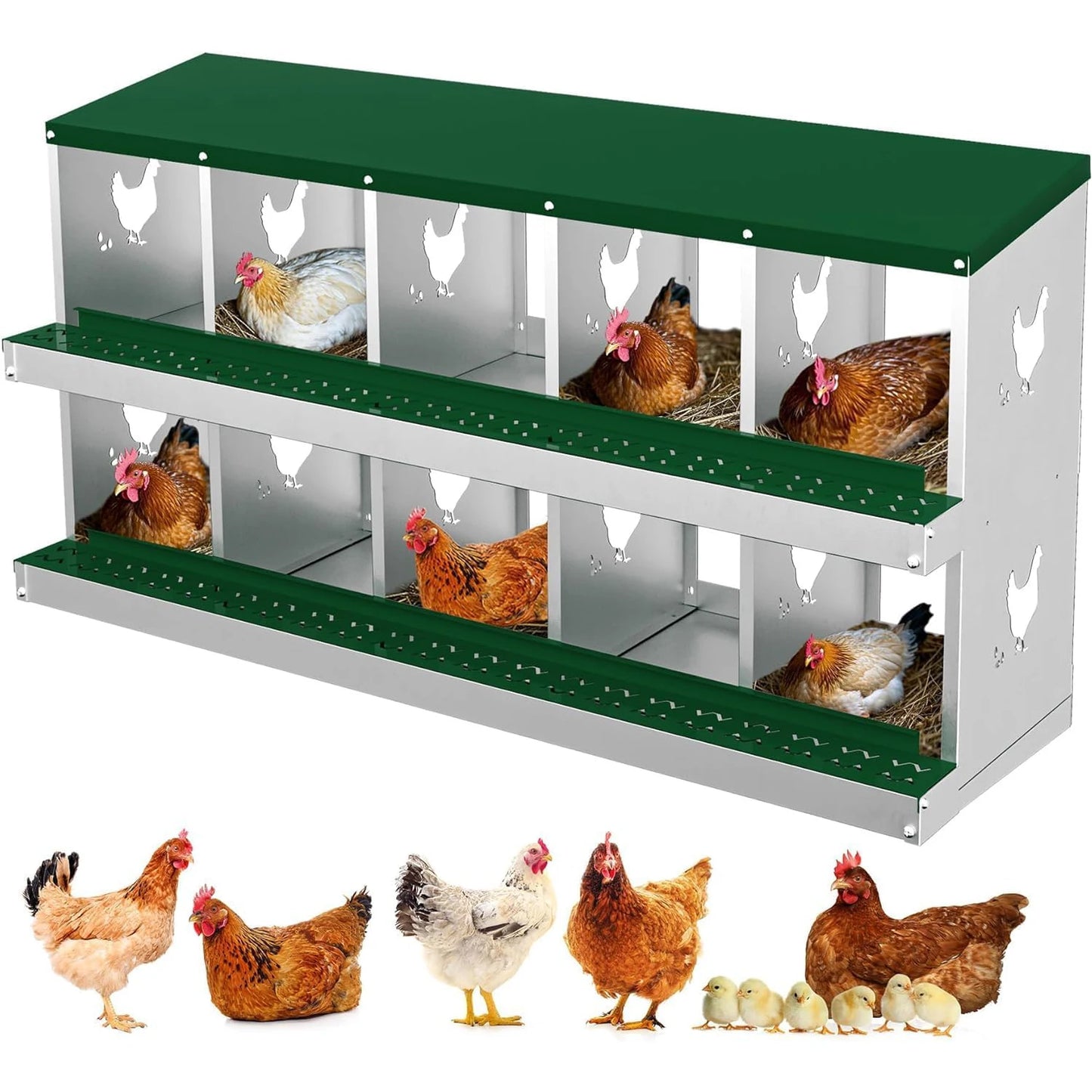 Metal Chicken Nesting Boxes