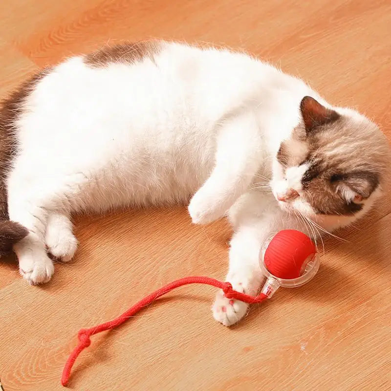 Smart Pet Interactive Automatic Rolling Ball Toy