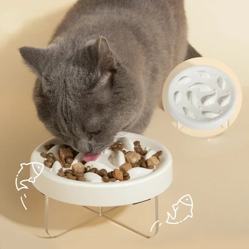 Pet Cat Bowl
