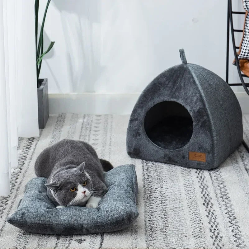 New Triangle Cat