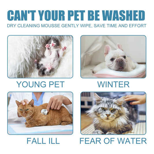 1-4PCS Pet Dry Shampoo Mousse for Puppies and Kittens