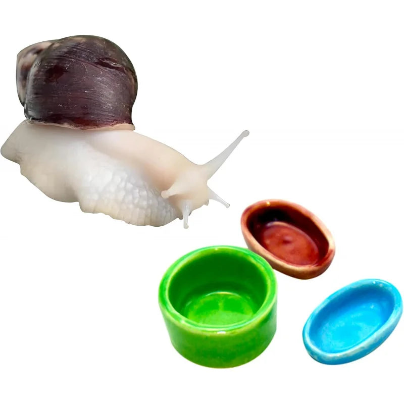 3 Snail Food and Bowl Land Pet Calcium Feeder