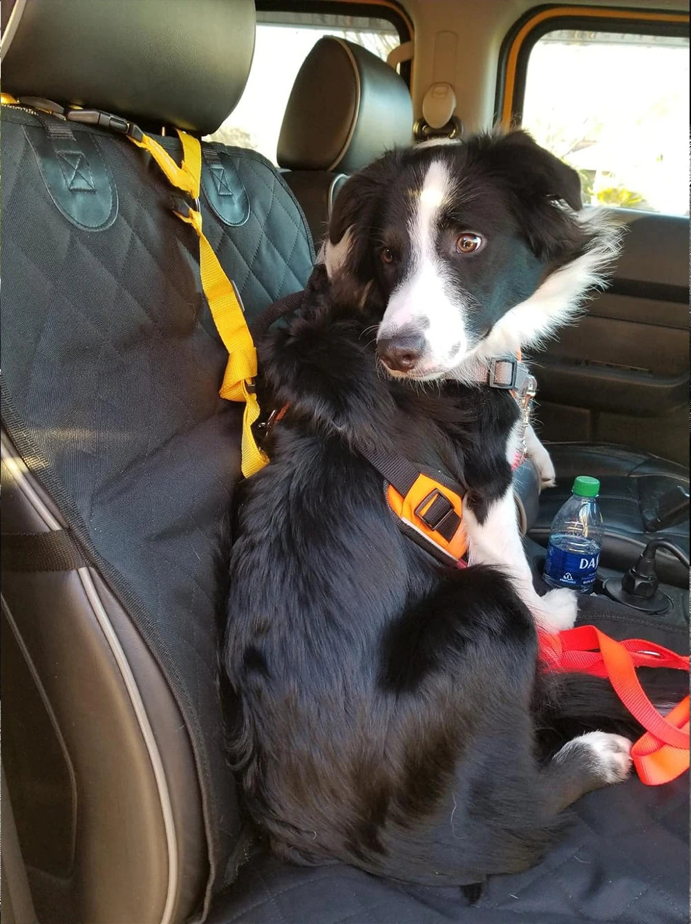 Dog Car Seat Covers