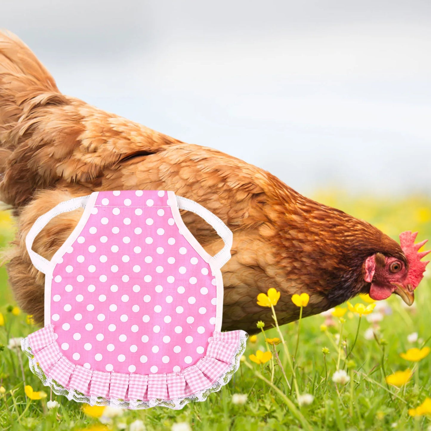 1pcs Farm Hen Feather Retainer Chicken Saddle Strap Apron