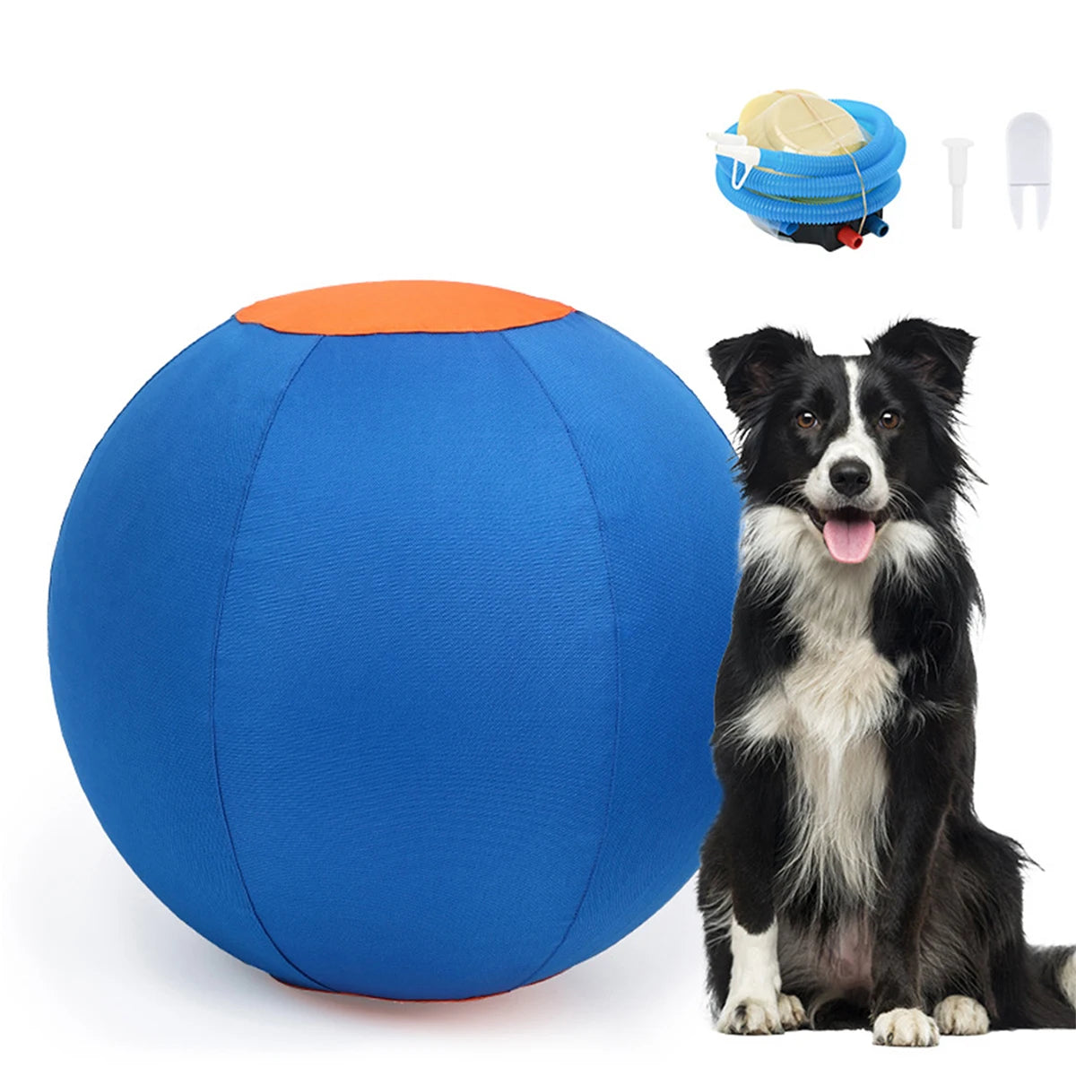 Four-legged Animal Game Ball Outdoor