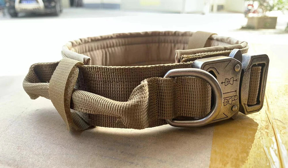 Dog Training Collar