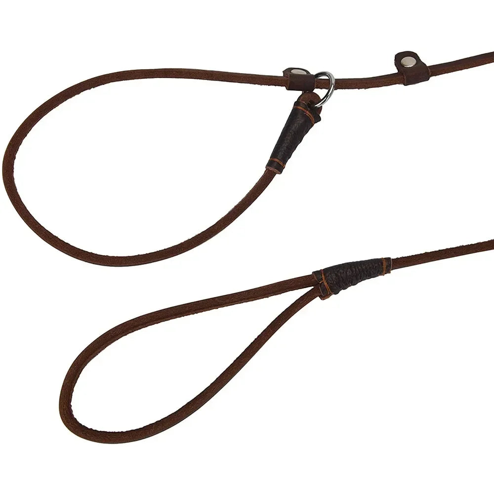 Genuine Leather Slip Dog Leash