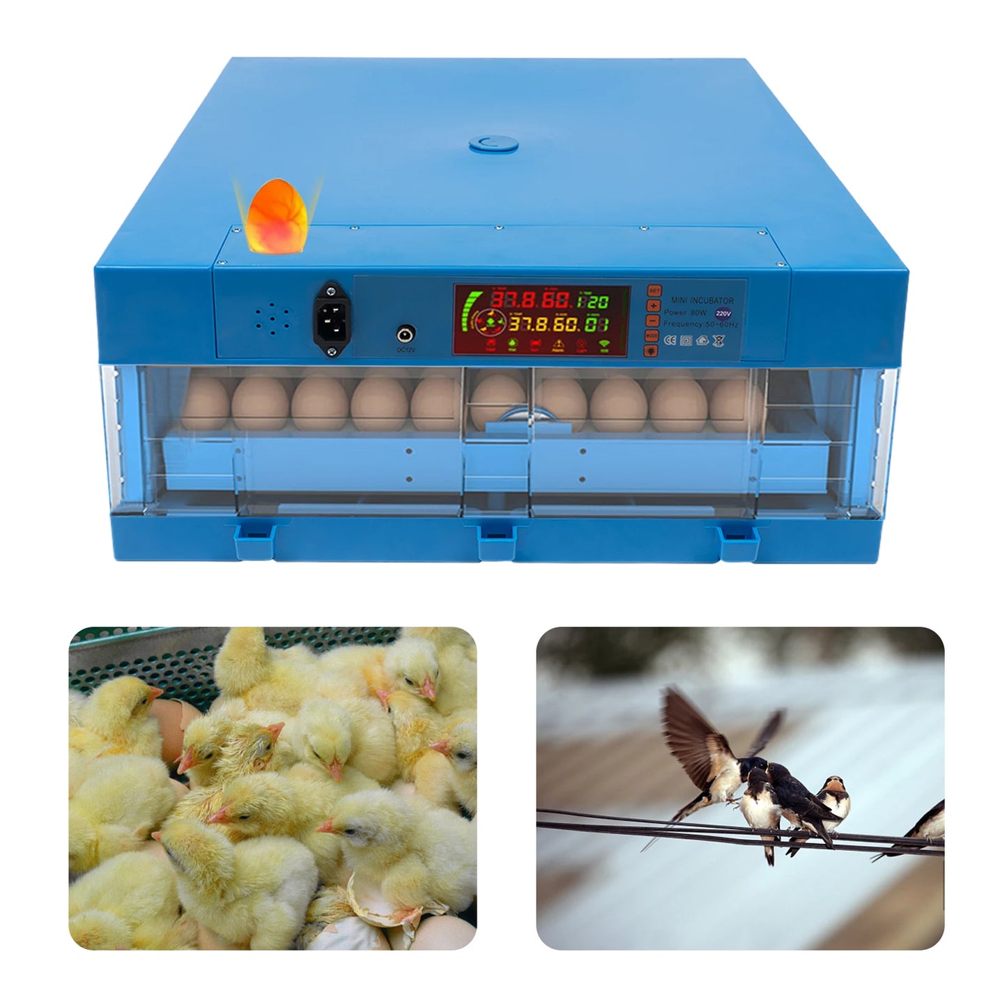 80W Thermostatic Egg Incubator
