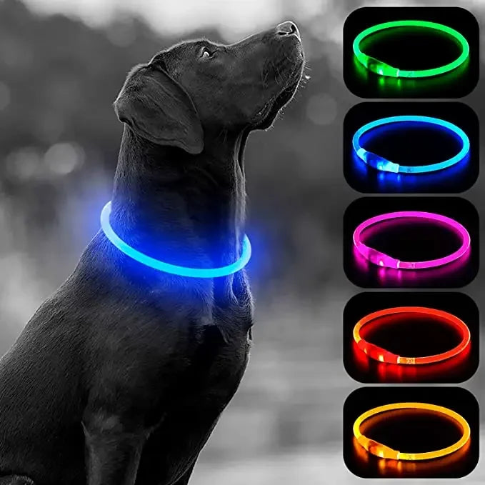 USB Charging Necklace Led Luminous Dog Collar Light