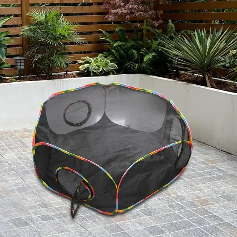 Cat Outside Playhouse Enclosed