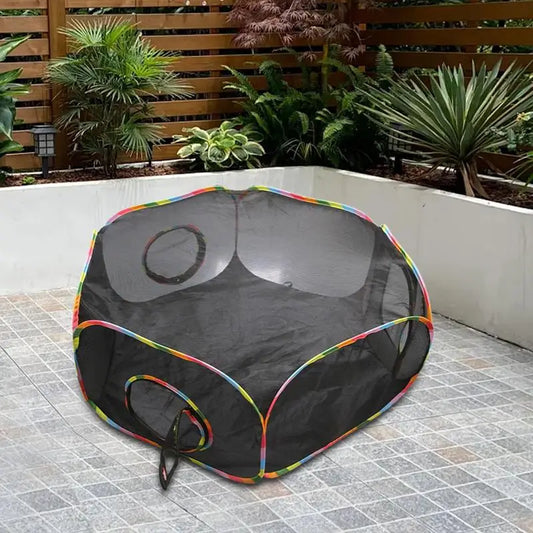 Cat Outside Playhouse Enclosed