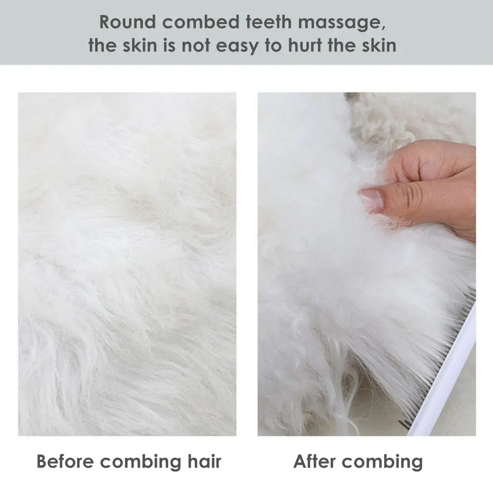 Cat Flea Comb Grooming