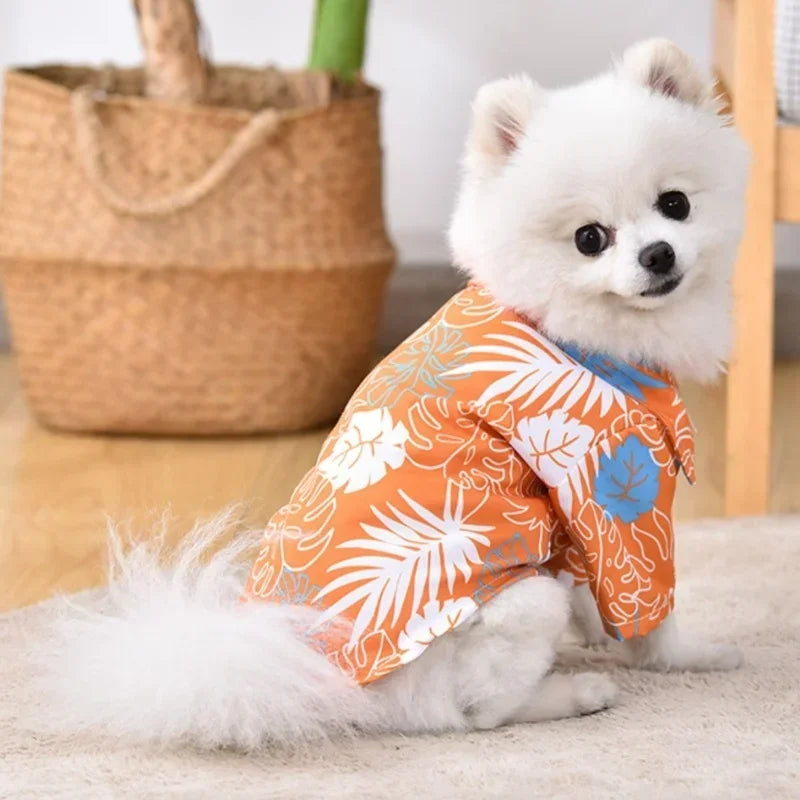 Summer Dog Clothes