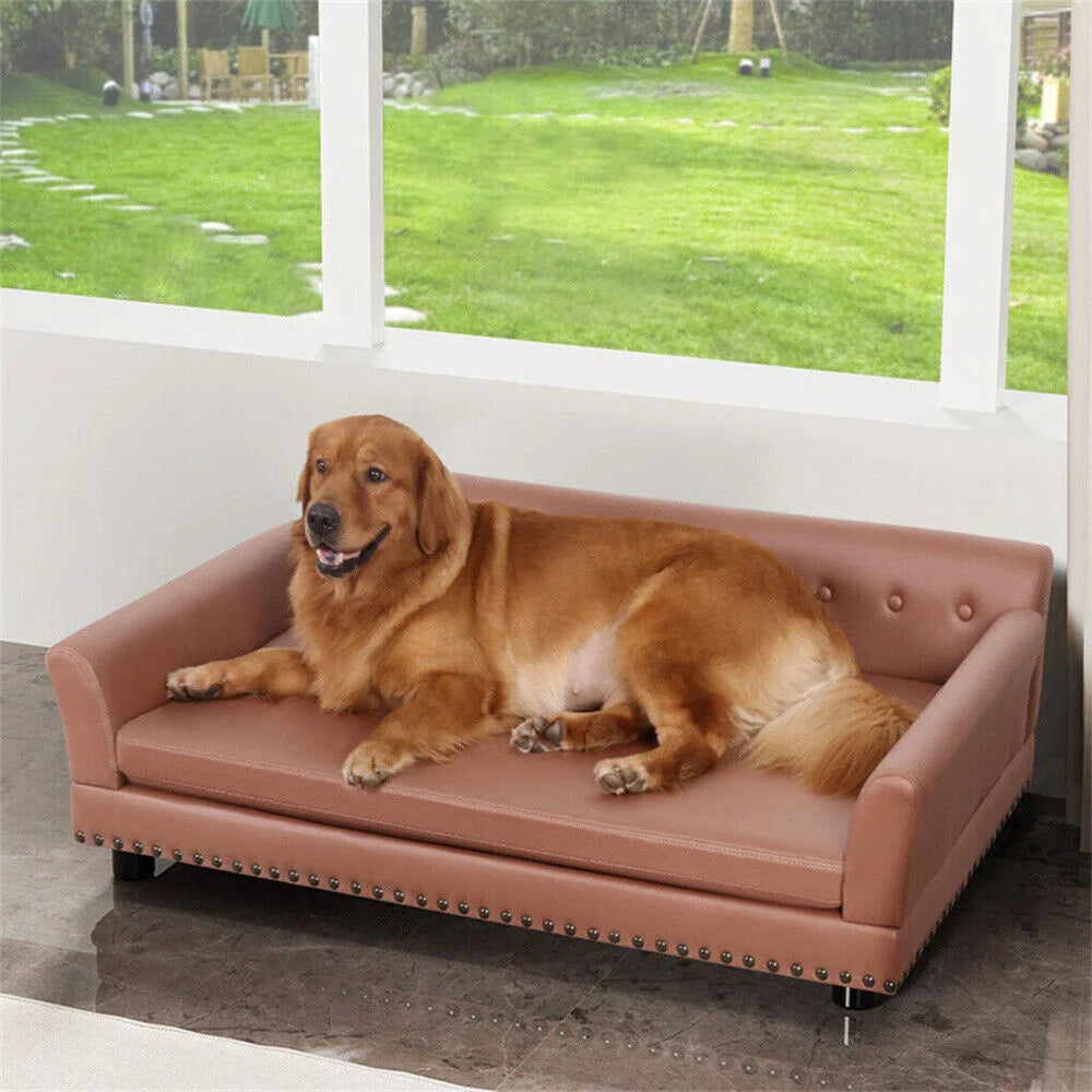 Large Elevated Dog Bed