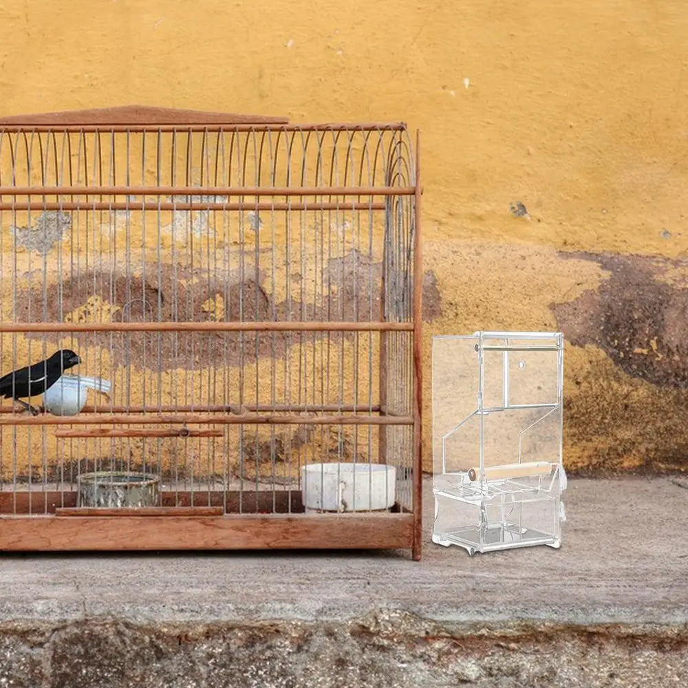 Parrot automatic feede