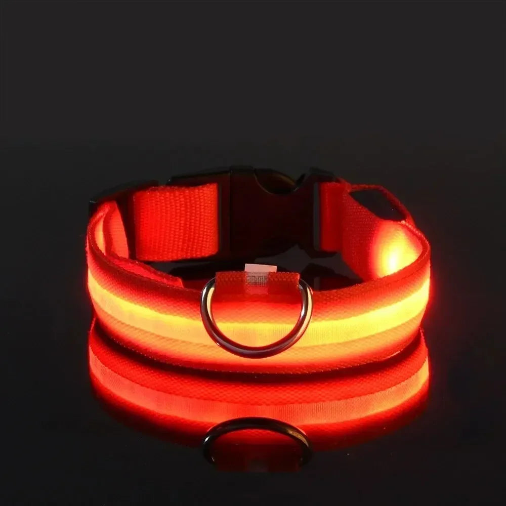 Light Up LED Pet Dog Collar