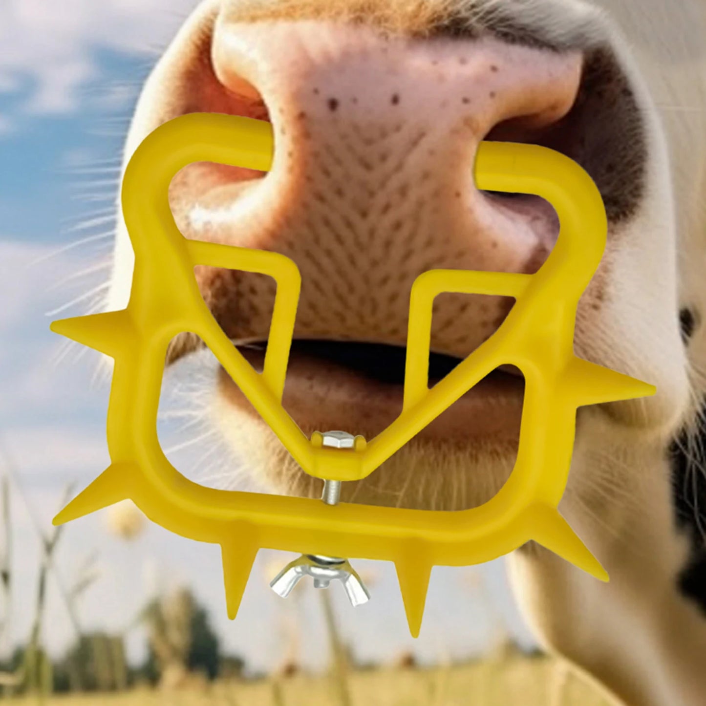 Cattle Nose Ring