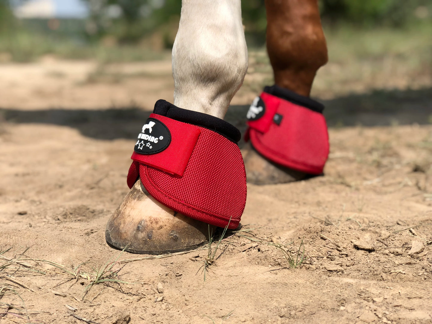 TGW RIDING 2520D Horse Bell Boots