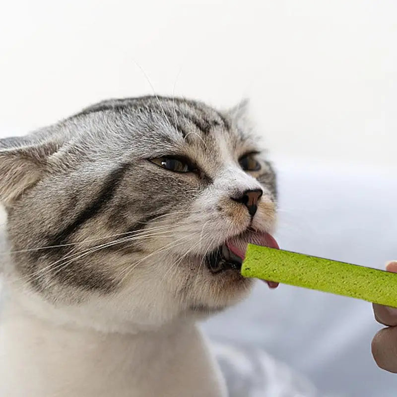 Cat Grass Sticks For Indoor Cats