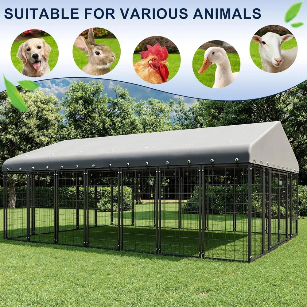 Dog Kennel Outside