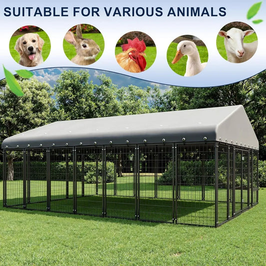 Dog Kennel Outside