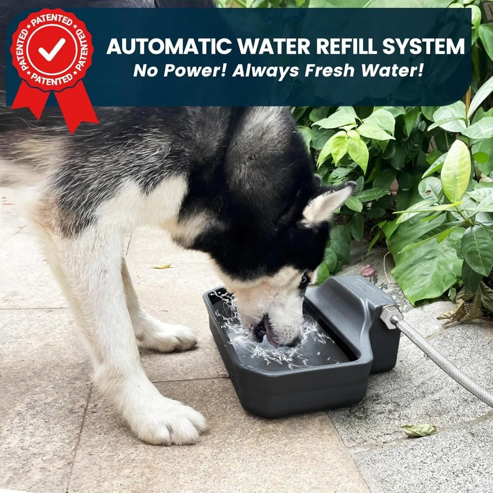 Automatic Dog Water Dispenser