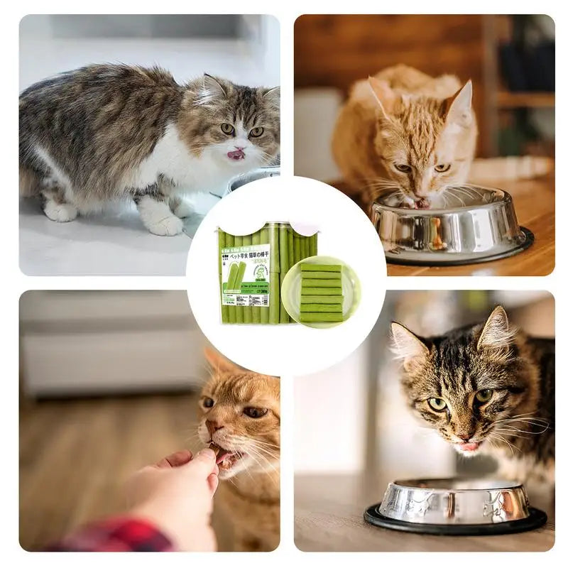 Cat Grass Sticks For Indoor Cats
