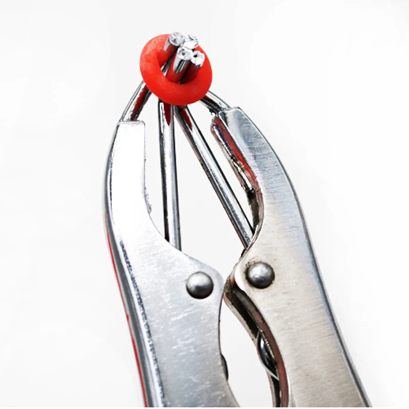 Stainless Steel Sheep Broken Tail Castration Forceps