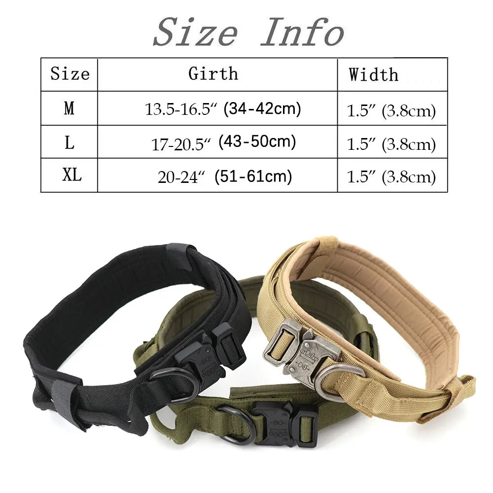Large Dog Harness and Leash Set