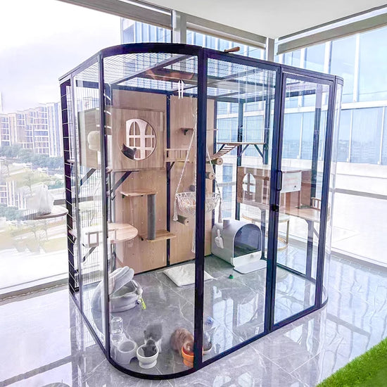 Luxury panoramic glass cat villa