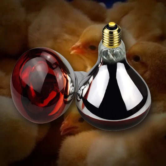 BONGBADA Quartz glass waterproof and explosion-proof