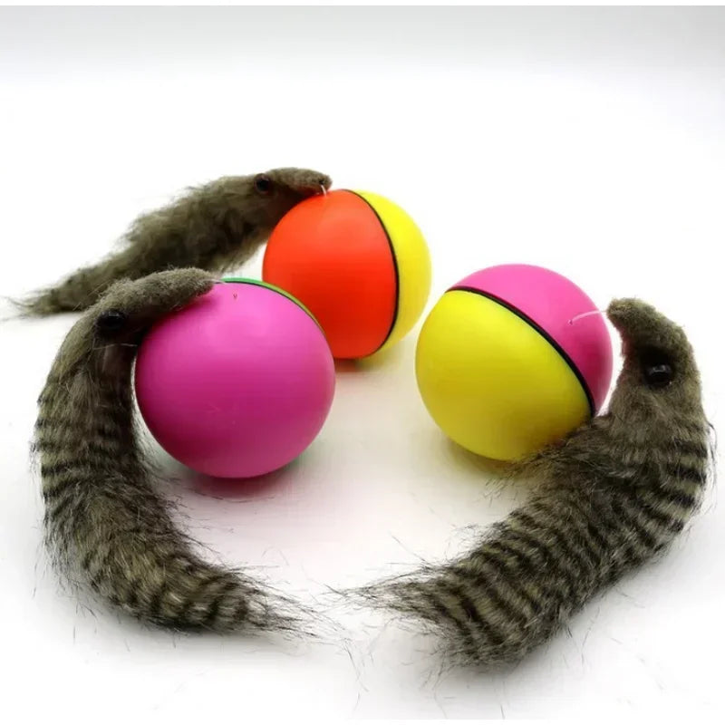 Rolling Play Random Alive New Pet Ferret Toy
