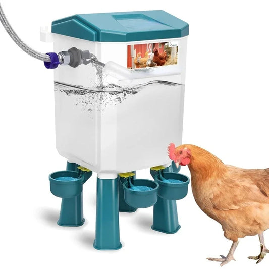 Float-Controlled Automatic Chicken Waterer for Continuous Fresh Water
