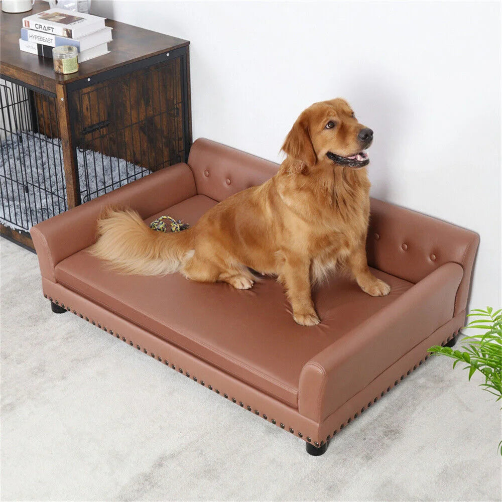 Large Elevated Dog Bed
