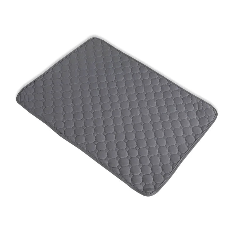 Dog Pee Pad