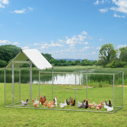 Flat Style Poultry Cage