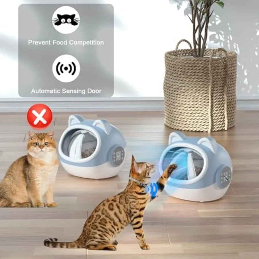 Smart Pet Feeder with Dual Collar Tags