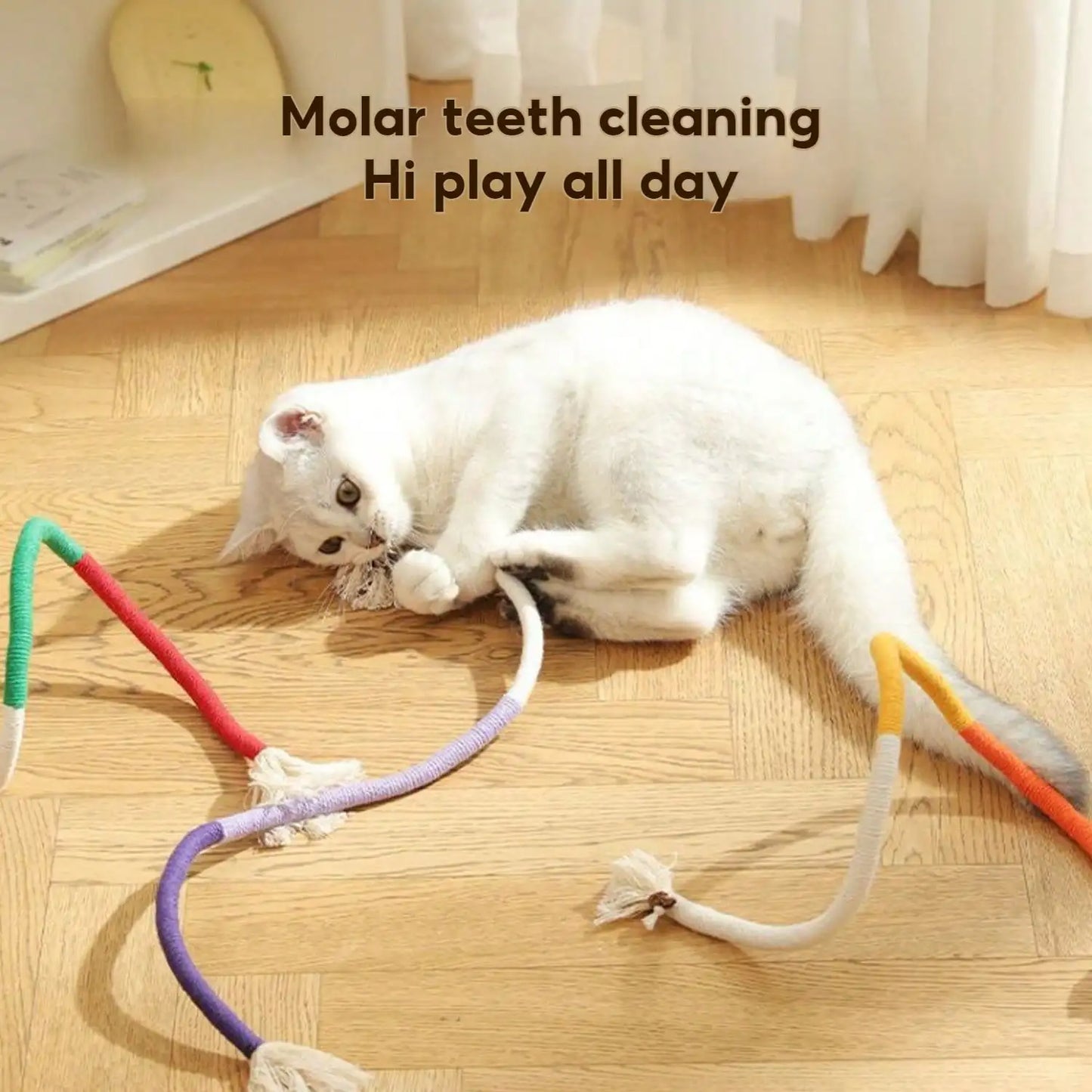 Cotton Rope Toys