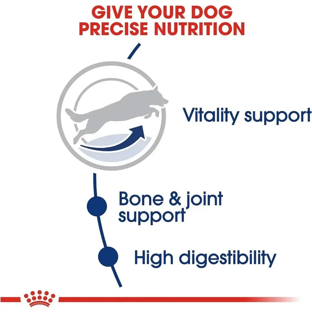 Large Adult 5+ Dry Dog Food for Older Dogs