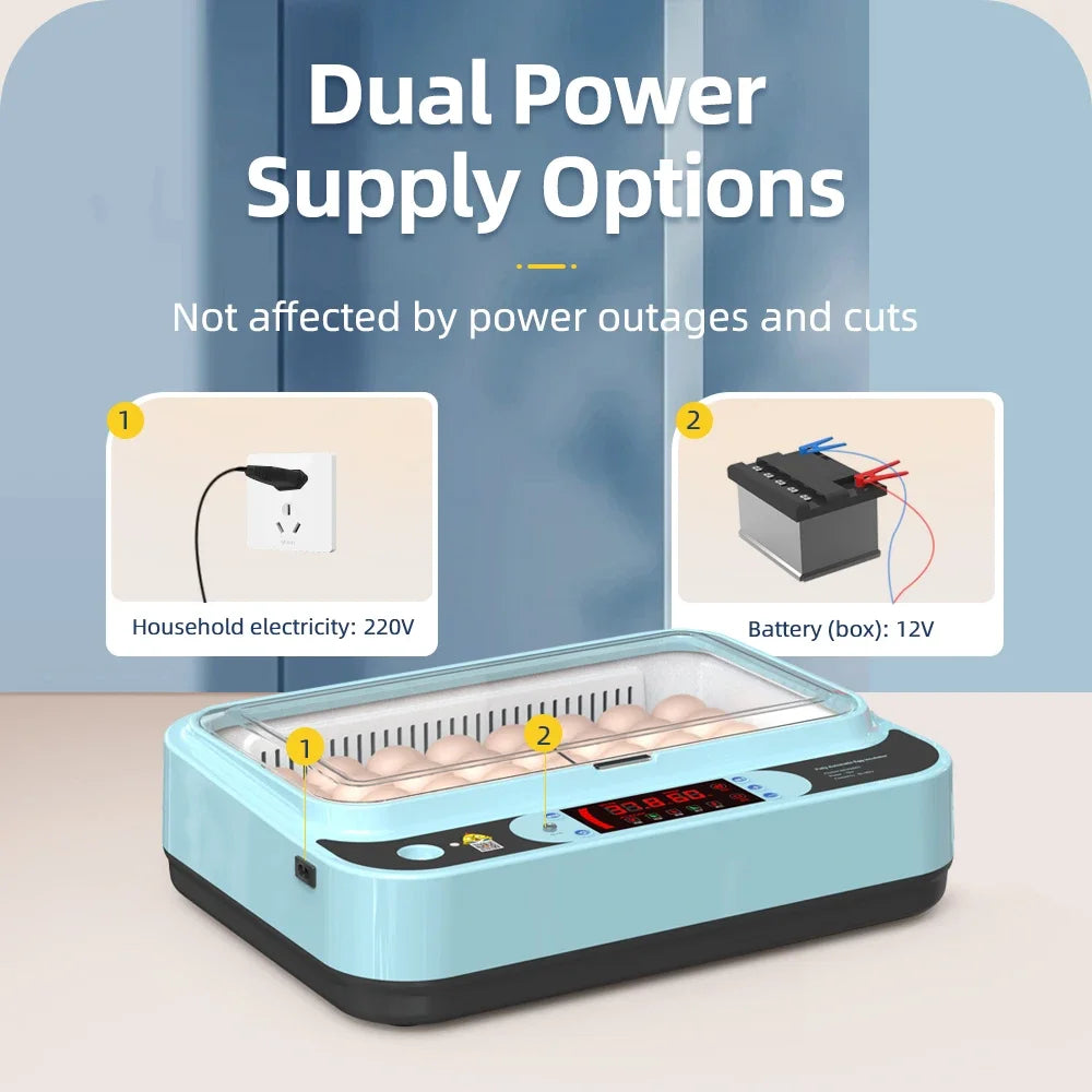 64/6 Chicken Duck Quail Egg Incubator